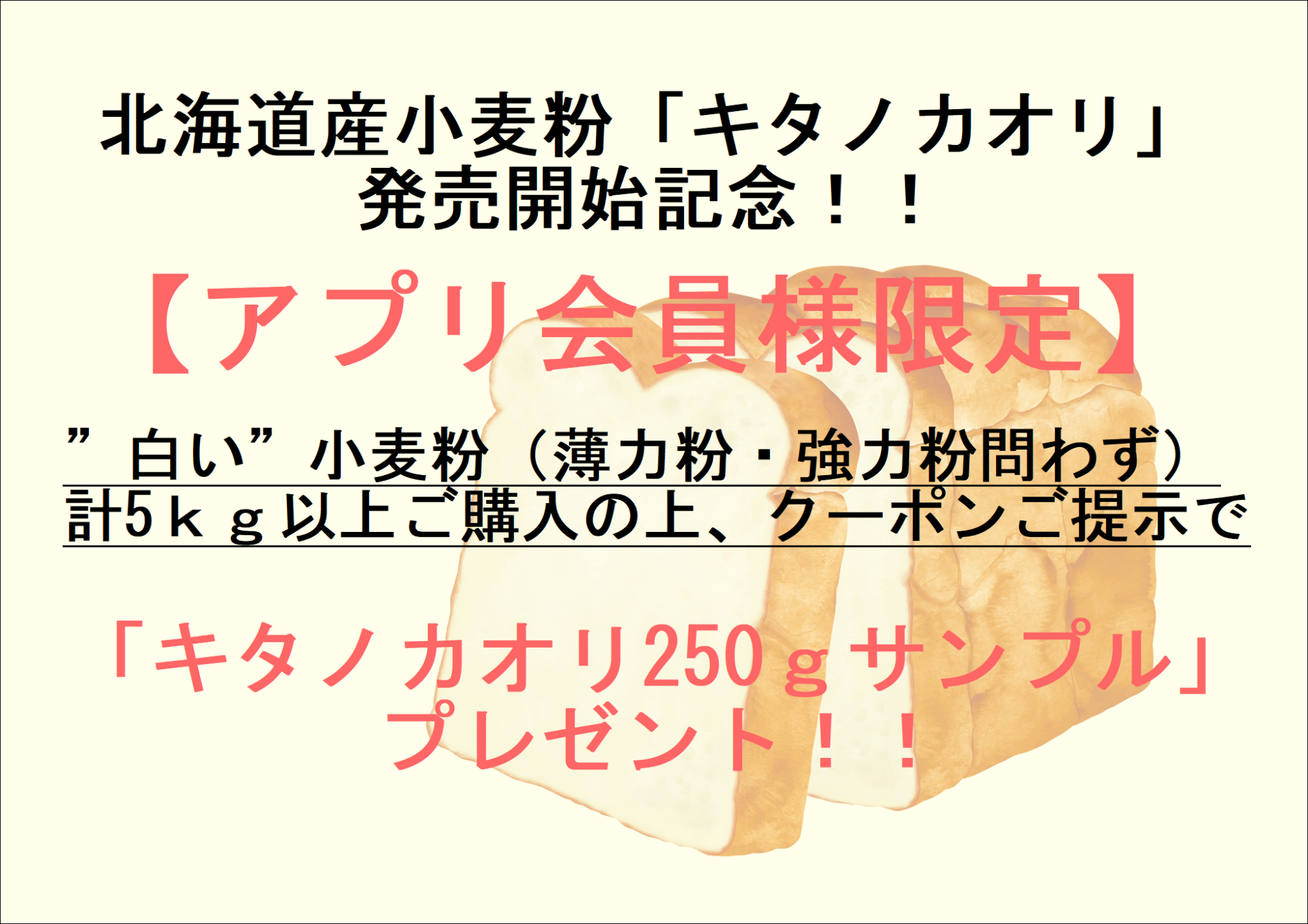 【アプリ会員様限定】キタノカオリ250gプレゼント！！