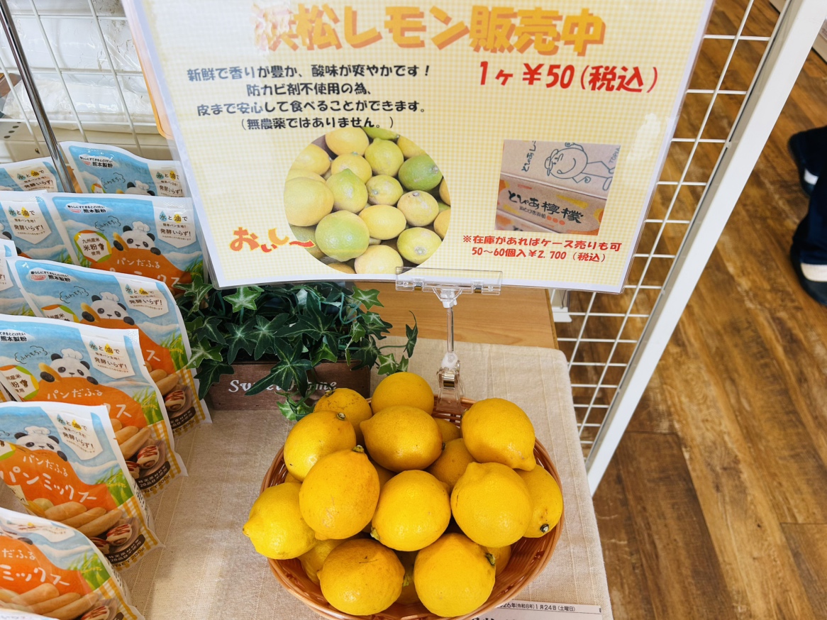 浜松レモン再入荷しました！